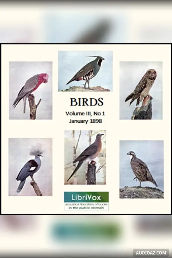 Birds, Vol. III, No 1, January 1898