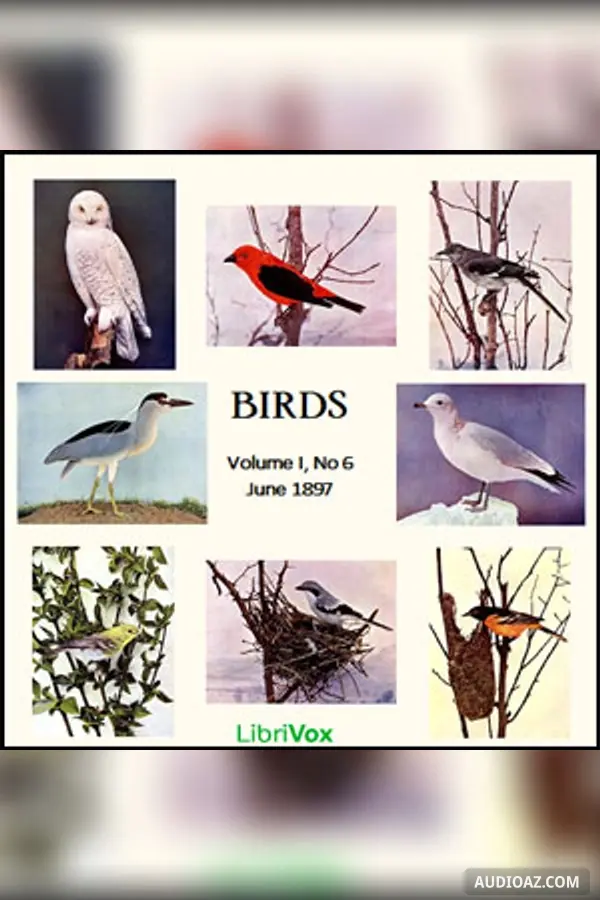 Birds, Vol. I, No 6, June 1897