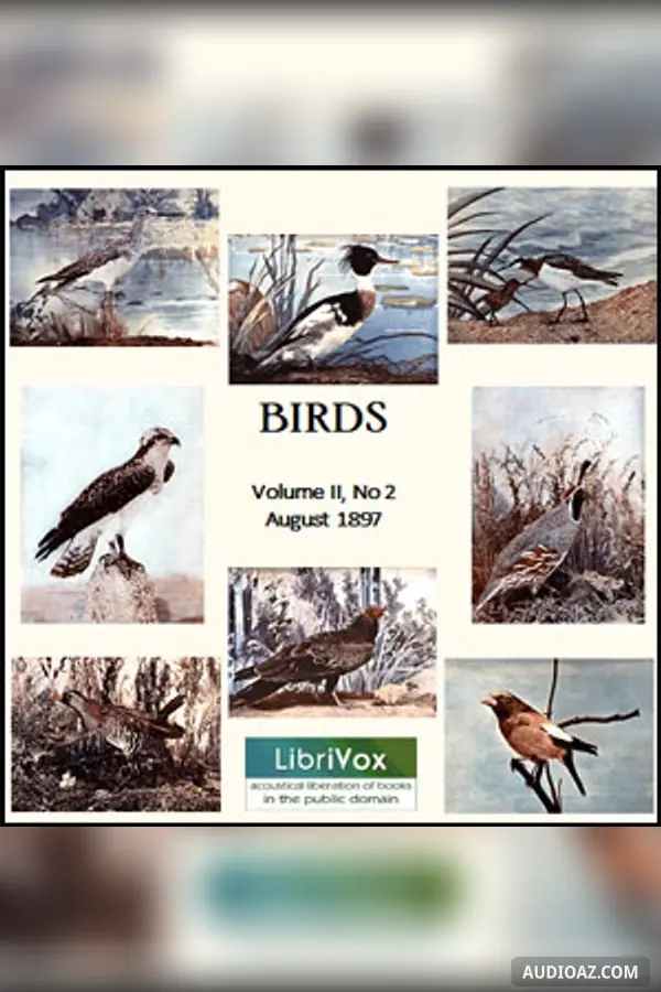 Birds, Vol. II, No 2, August 1897