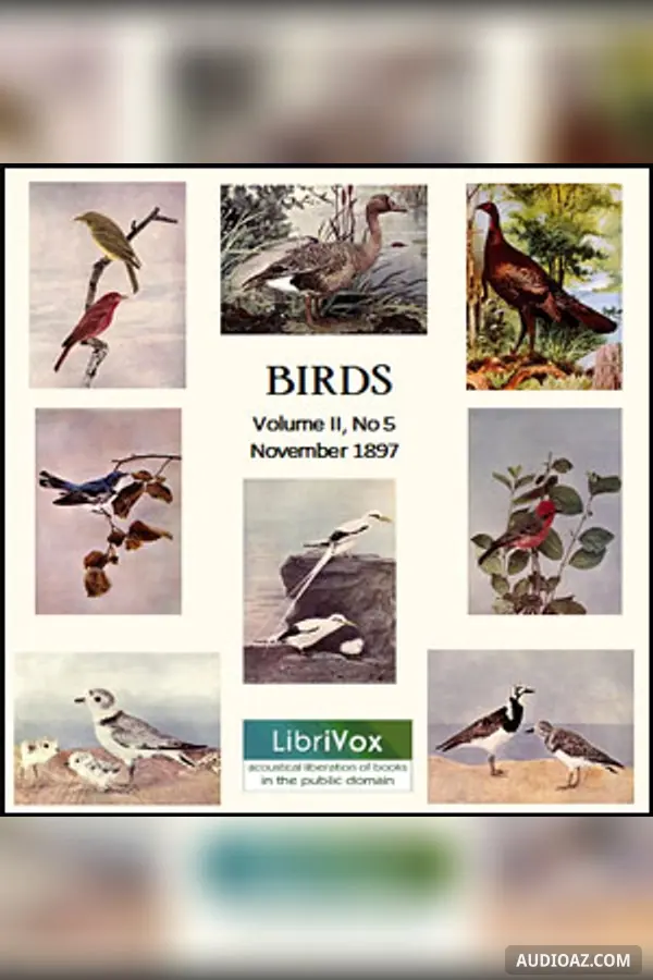 Birds, Vol. II, No 5, November 1897