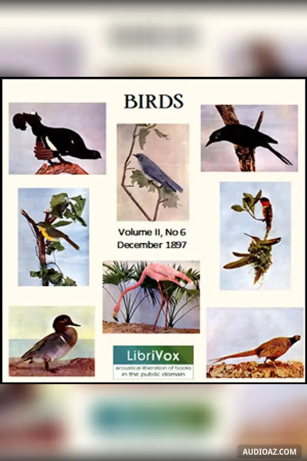 Birds, Vol. II, No 6, December 1897