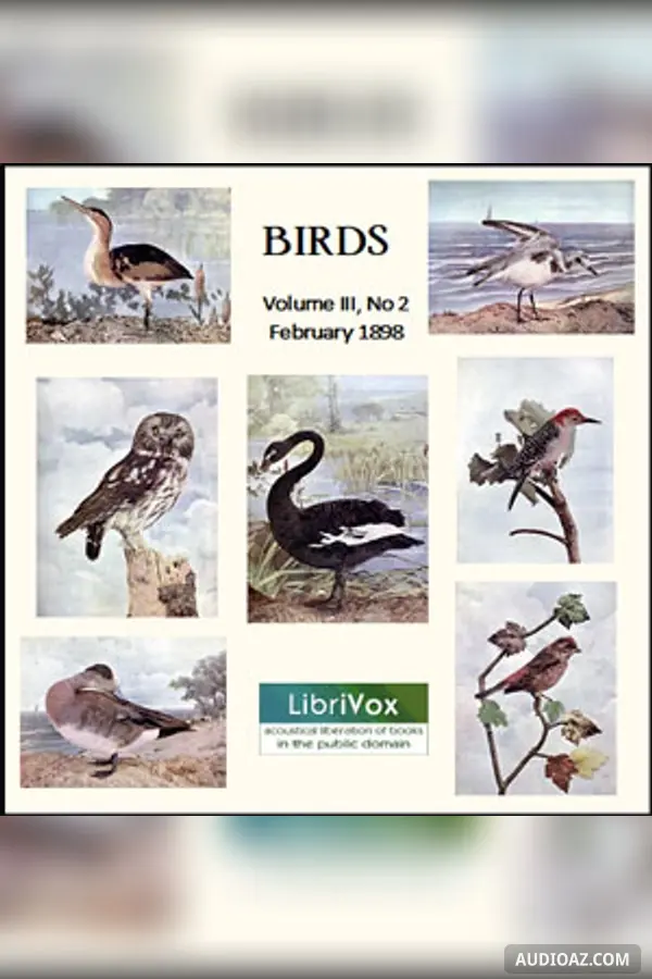 Birds, Vol. III, No 2, February 1898