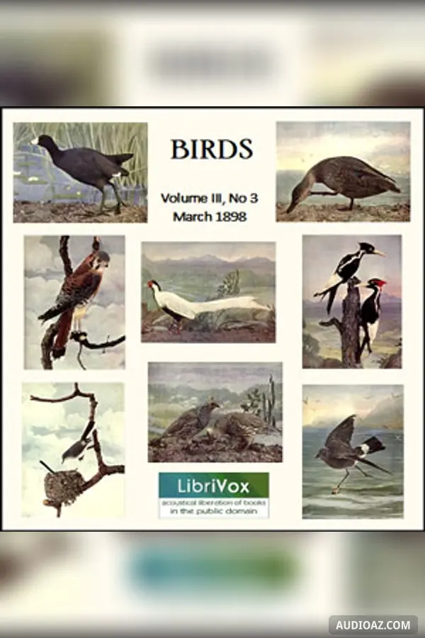 Birds, Vol. III, No 3, March 1898