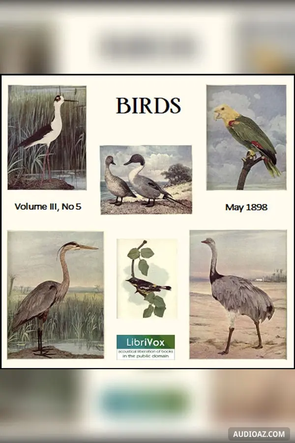 Birds, Vol. III, No 5, May 1898