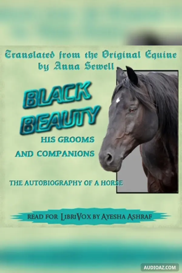 Black Beauty (version 4)