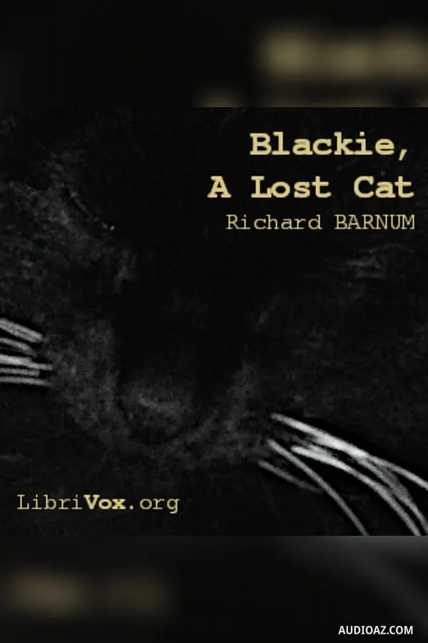 Blackie, A Lost Cat