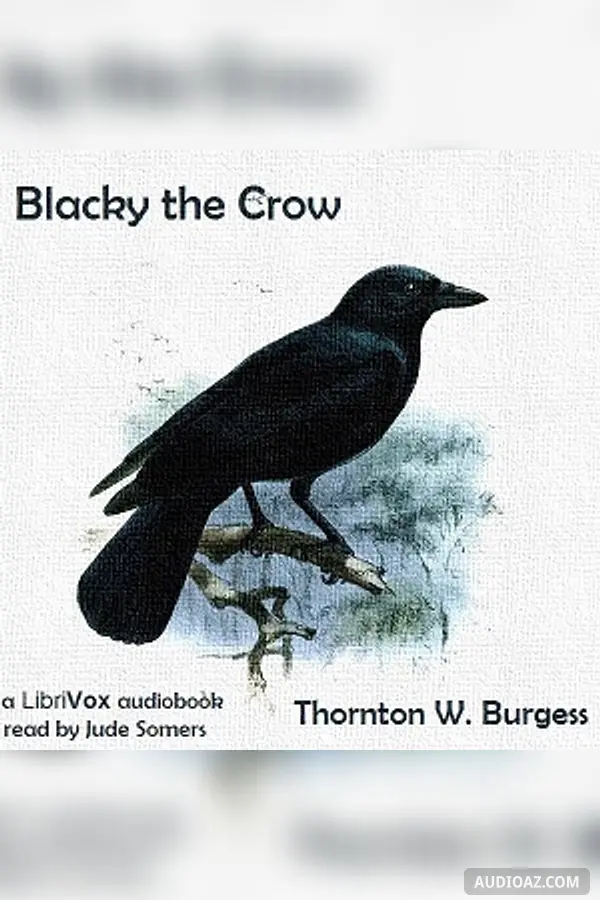 Blacky the Crow