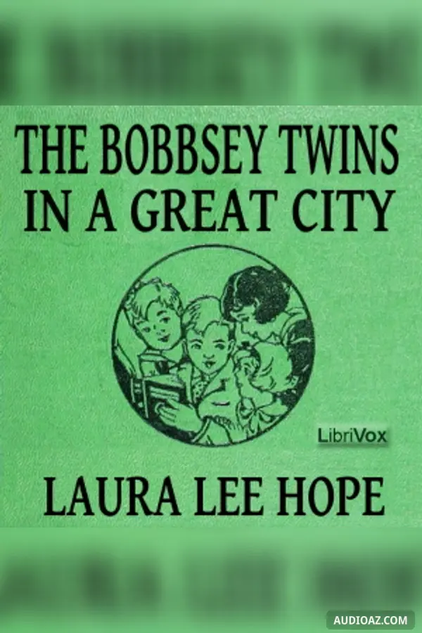 Bobbsey Twins in a Great City