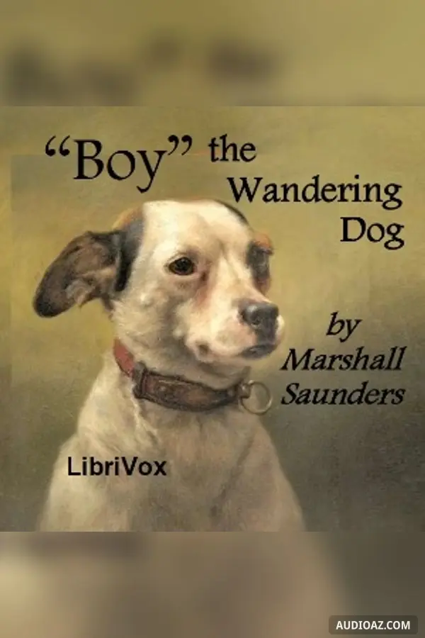 "Boy" The Wandering Dog