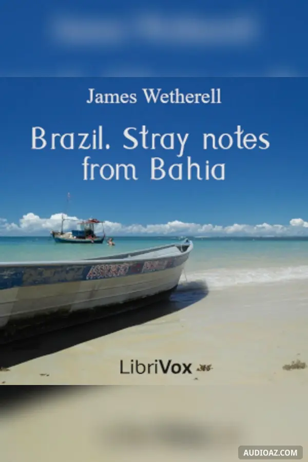 Brazil. Stray notes from Bahia