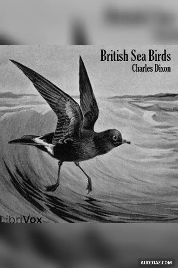 British Sea Birds