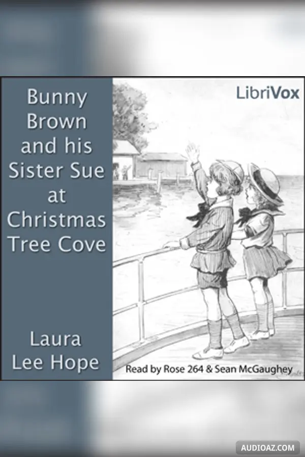 Bunny Brown and his Sister Sue at Christmas Tree Cove