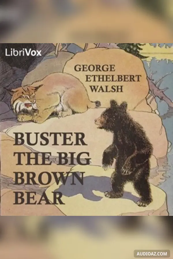 Buster the Big Brown Bear