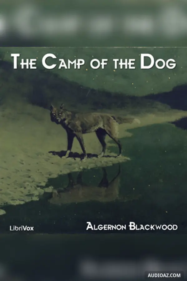 Camp of the Dog