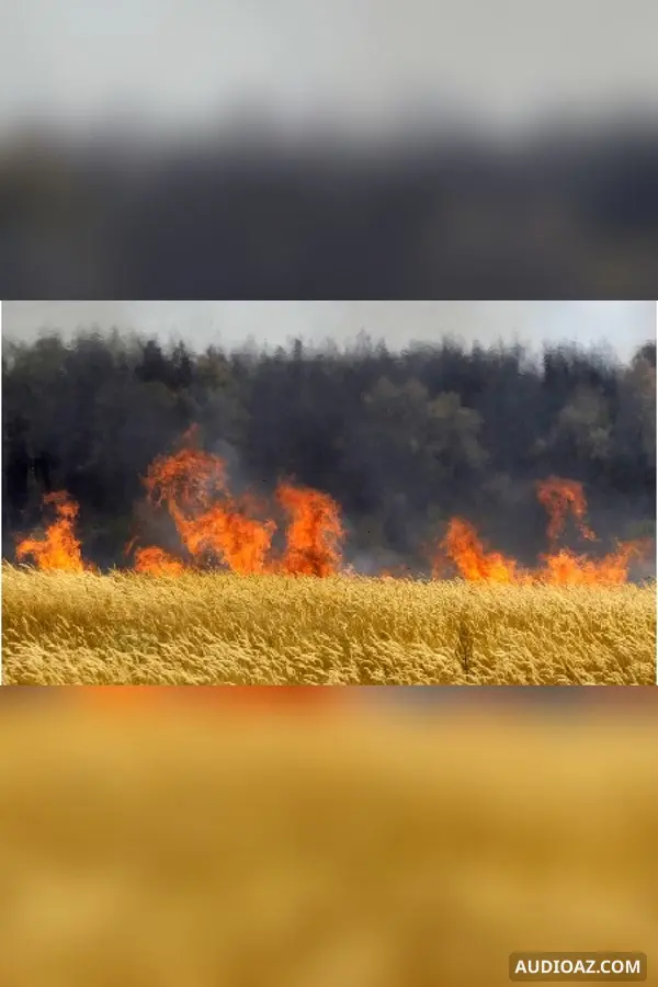 Cánh đồng bốc cháy