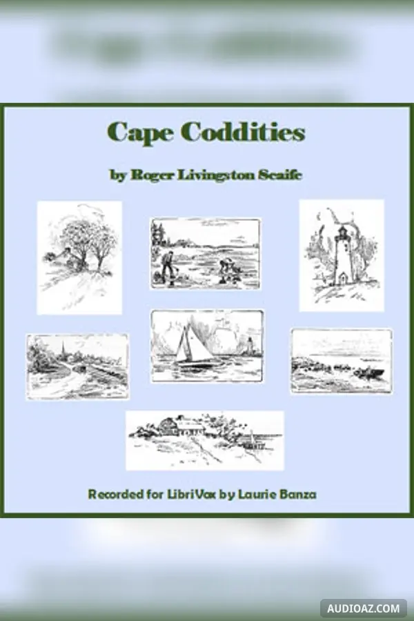 Cape Coddities