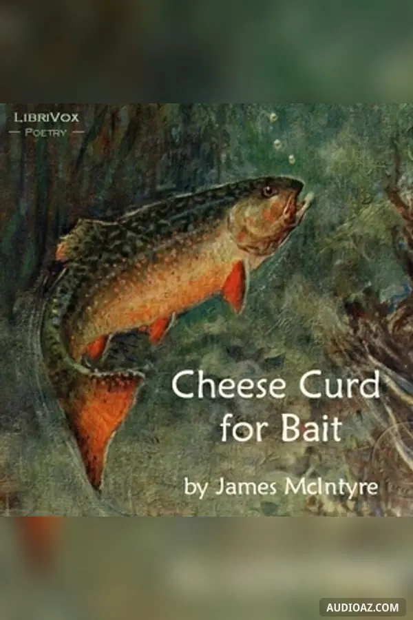 Cheese Curd for Bait