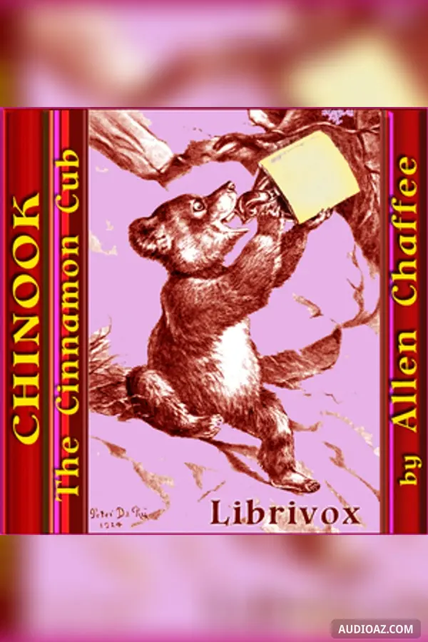 Chinook the Cinnamon Cub