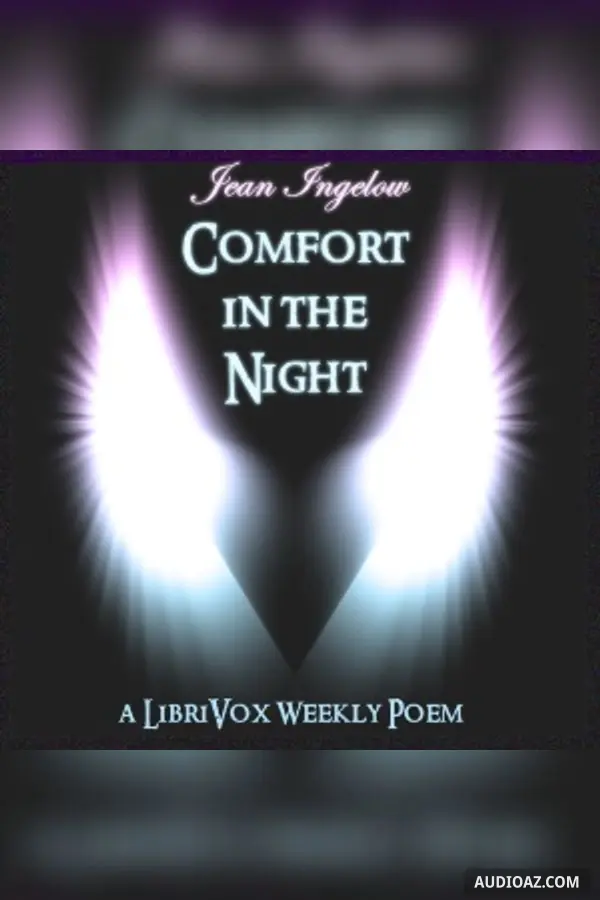 Comfort in the Night