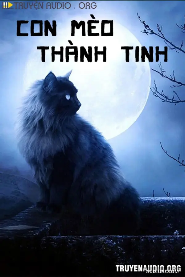 Con Mèo Thành Tinh