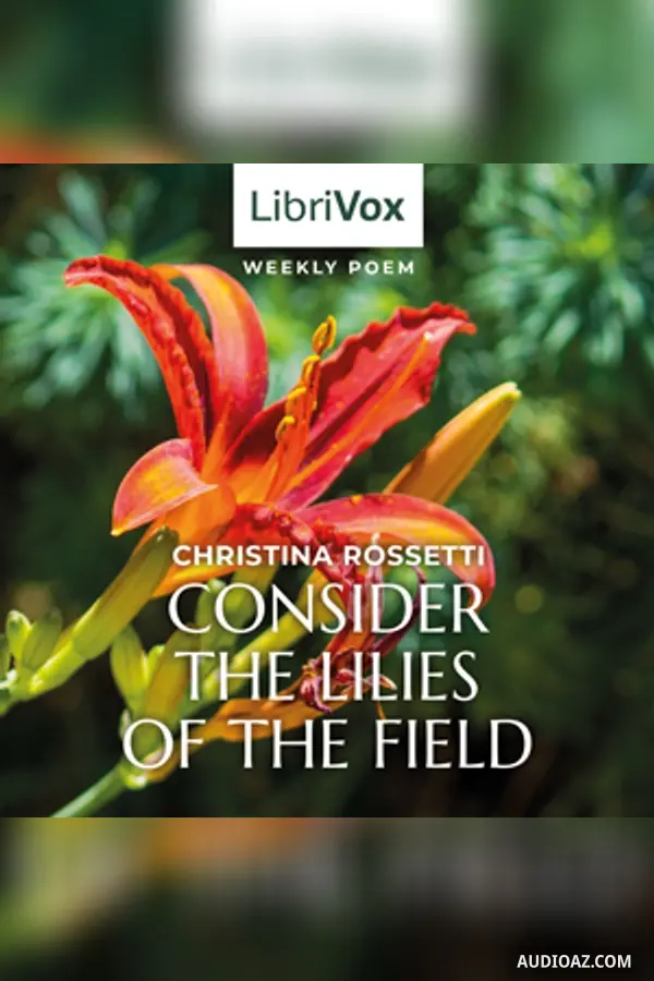Consider the Lilies of the Field