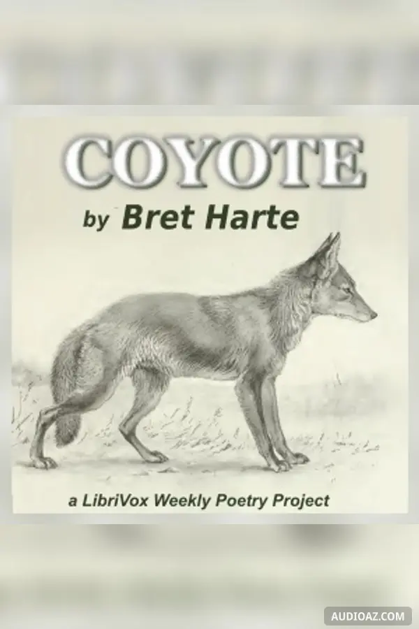 Coyote