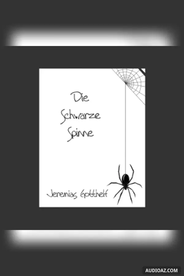 schwarze Spinne