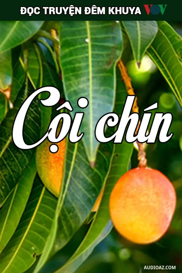 Đọc Truyện Đêm Khuya Vov - Cội Chín