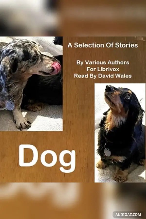Dog: A Selection of Stories