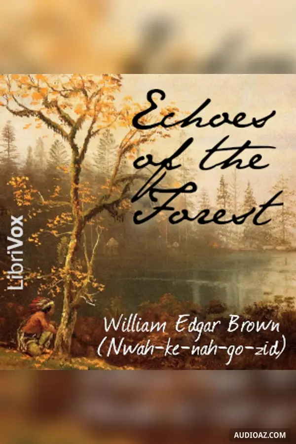 Echoes of the Forest