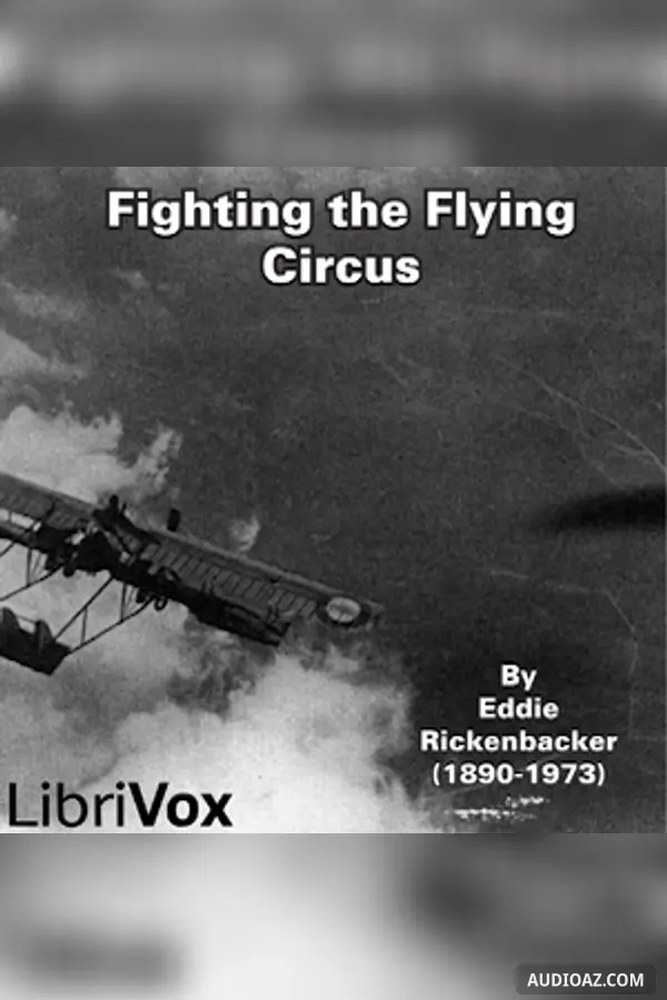 Fighting the Flying Circus