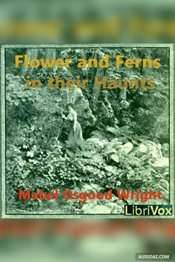 Flowers and Ferns in their Haunts