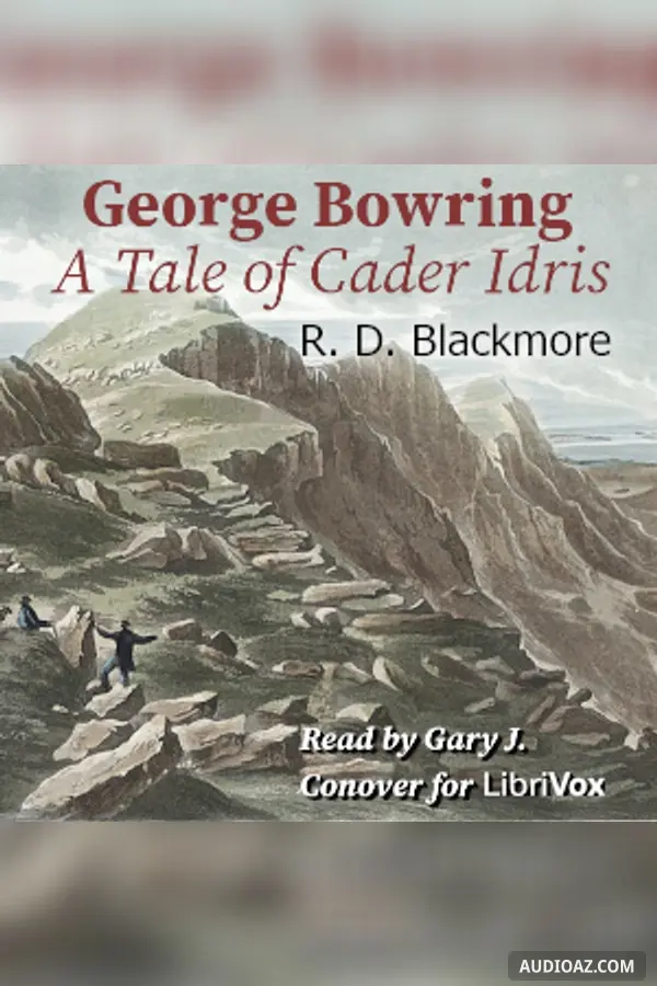 George Bowring - A Tale Of Cader Idris