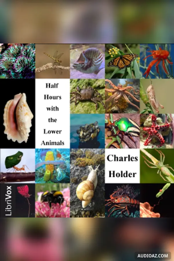 Half Hours With the Lower Animals