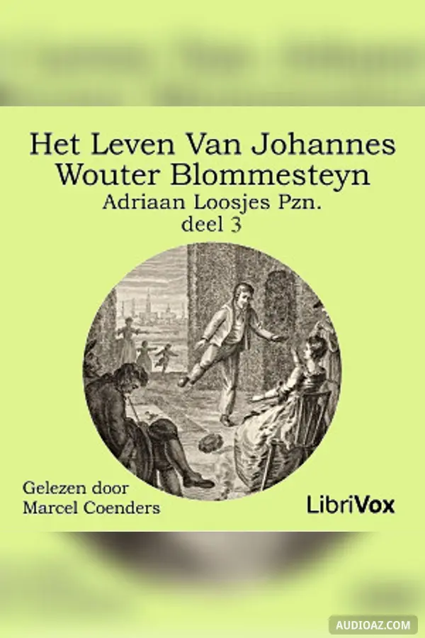 leven van Johannes Wouter Blommesteyn - deel 3