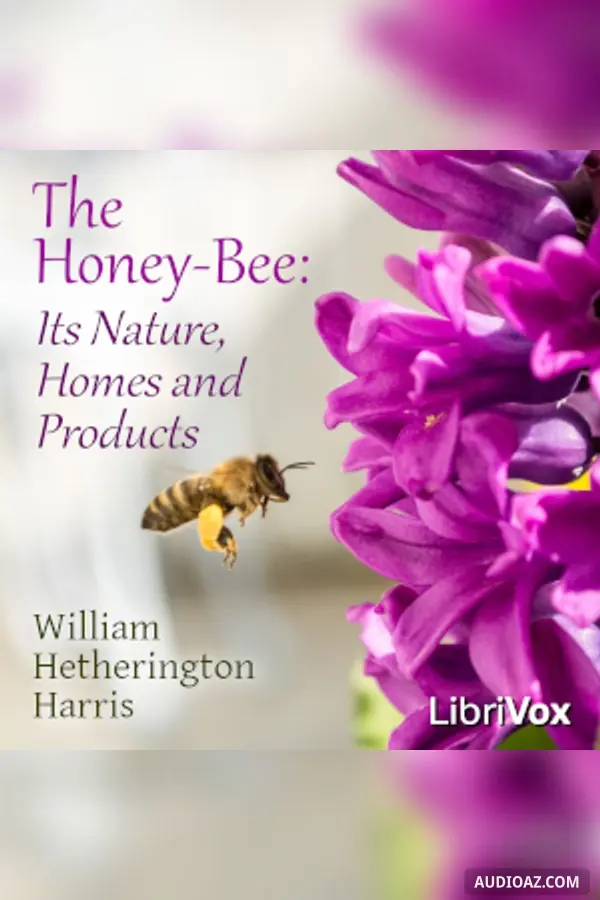 Honey-Bee: Its Nature, Homes and Products