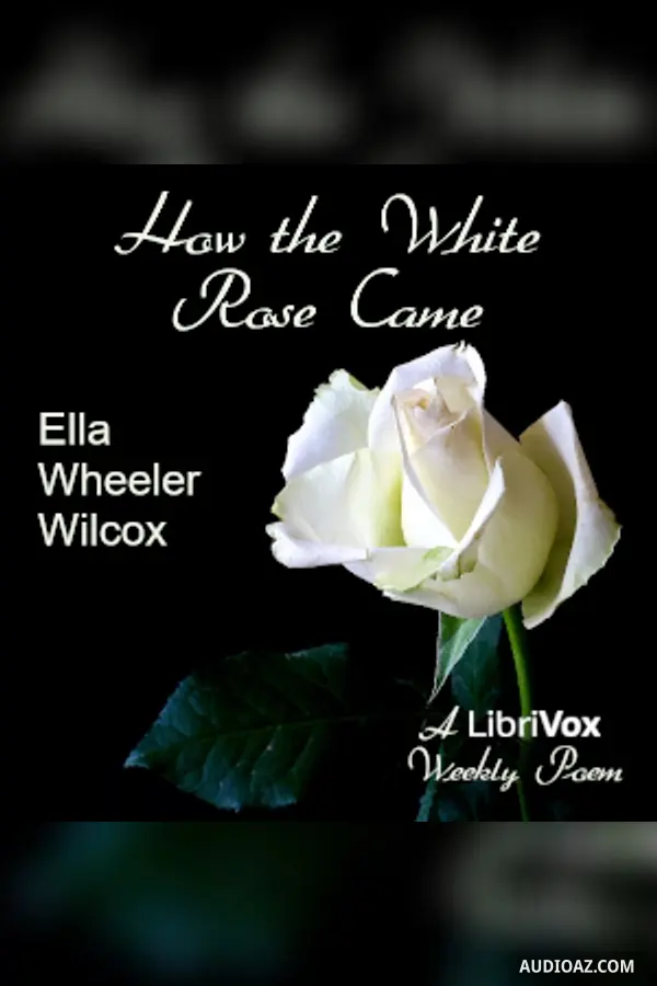 How The White Rose Came