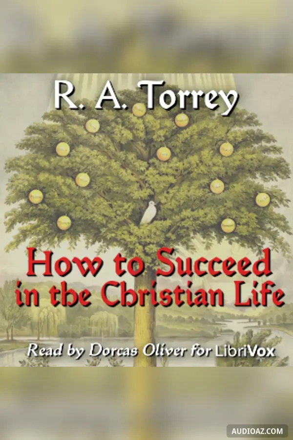 How to Succeed in the Christian Life