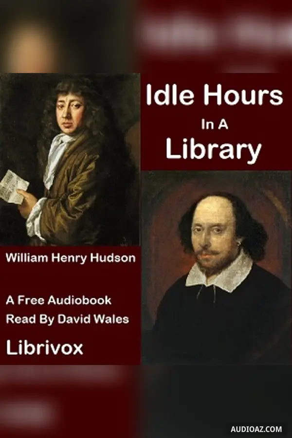 Idle Hours In A Library