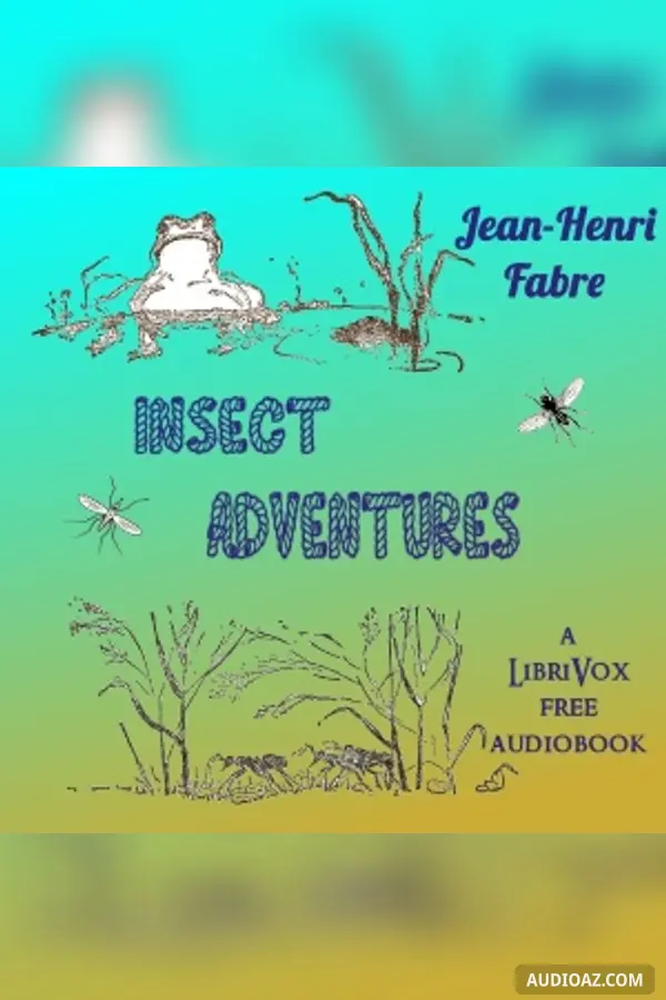 Insect Adventures