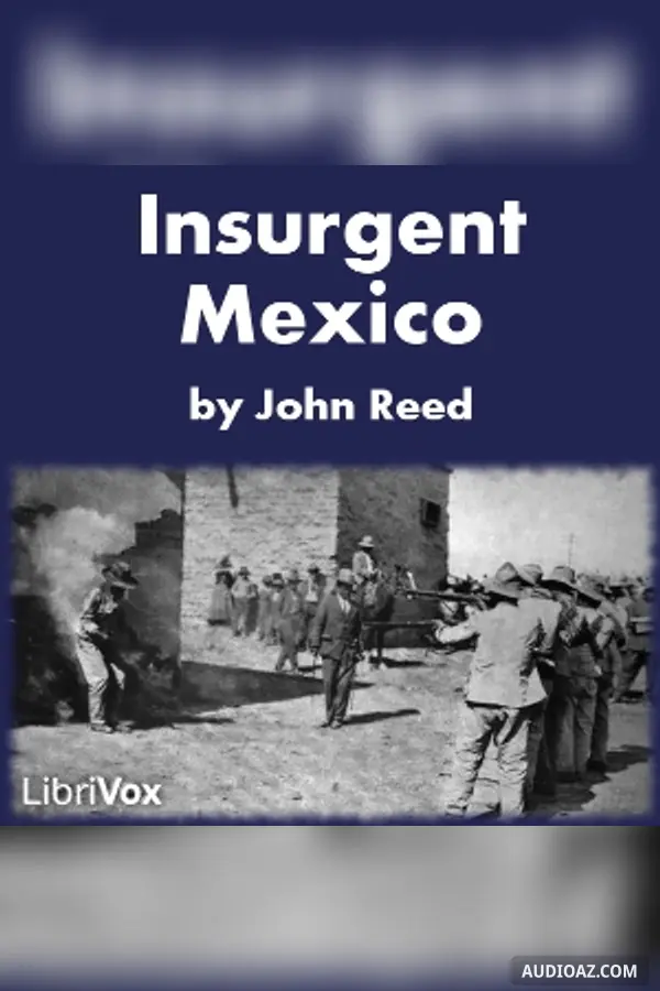 Insurgent Mexico