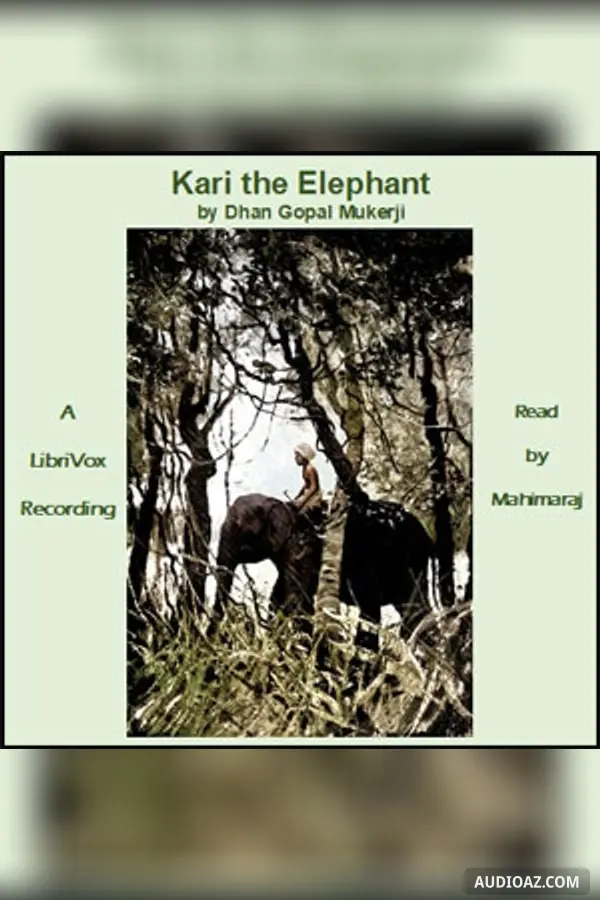 Kari the Elephant (Version 2)