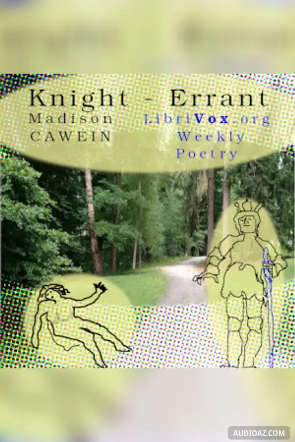 Knight - Errant