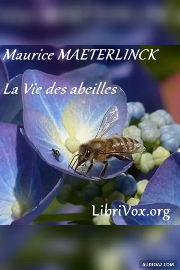 vie des abeilles