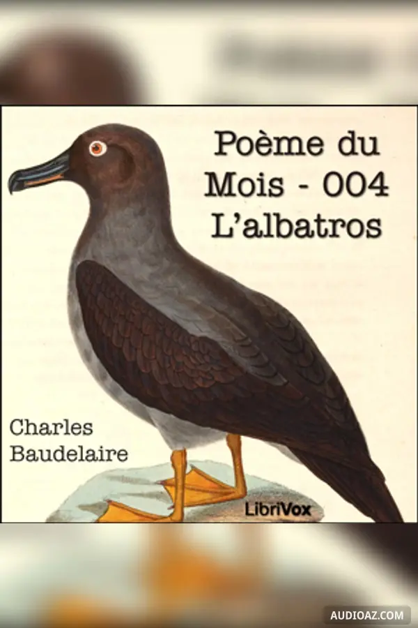 Poème du Mois - 004 L'albatros