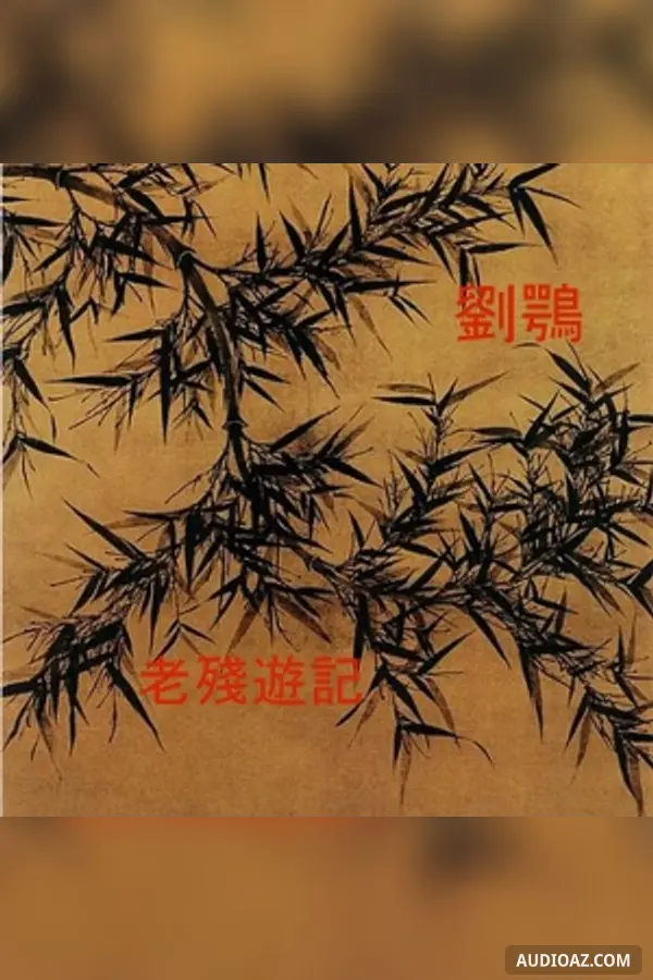 老殘遊記 (Lao Can You Ji - Mr Derelict)