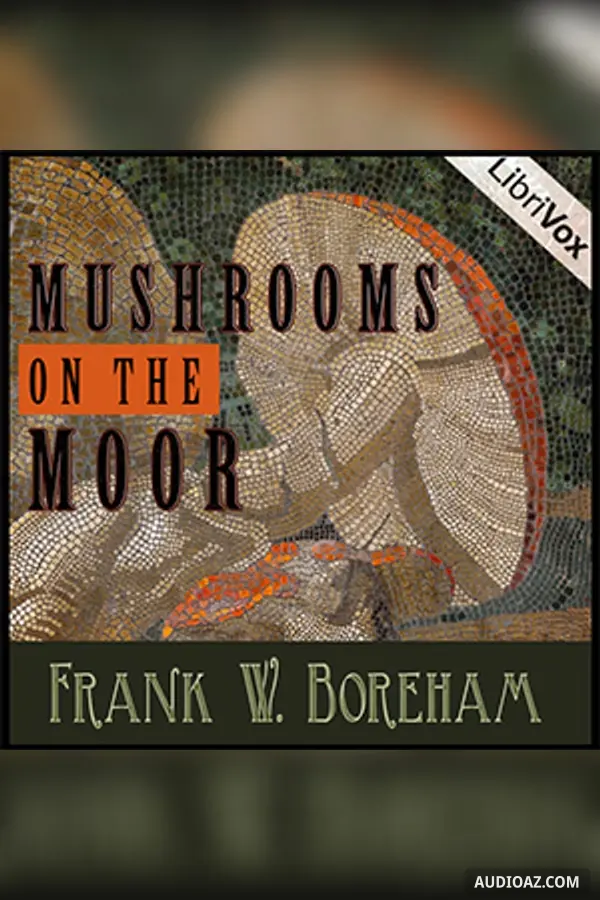 Mushrooms on the Moor