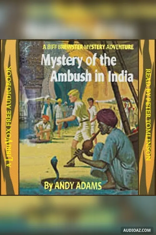Mystery of the Ambush in India