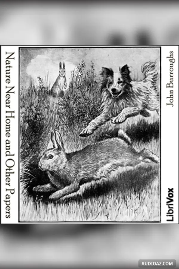 Nature Near Home and Other Papers