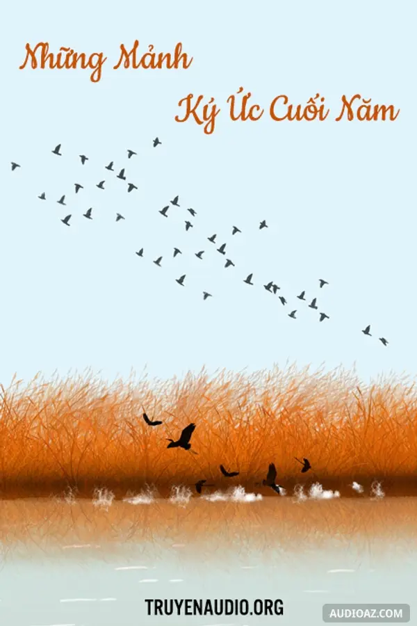 Những Mảnh Ký Ức Cuối Năm